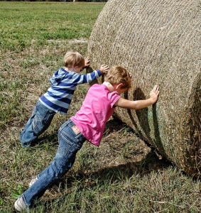 Kindergeburtstag Bauernhof_2